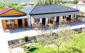 Olive Oasis Studio